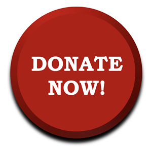 Donate Button